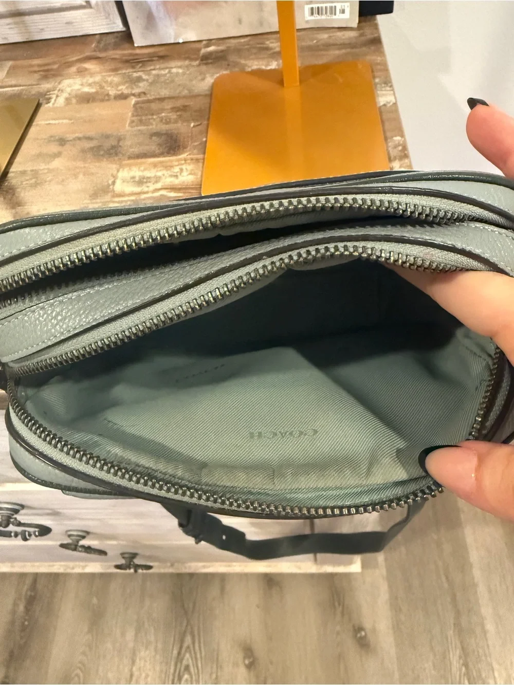 Coach Pebbled Leather Camera Crossbody Bag Sage Green Gunmetal Hardware